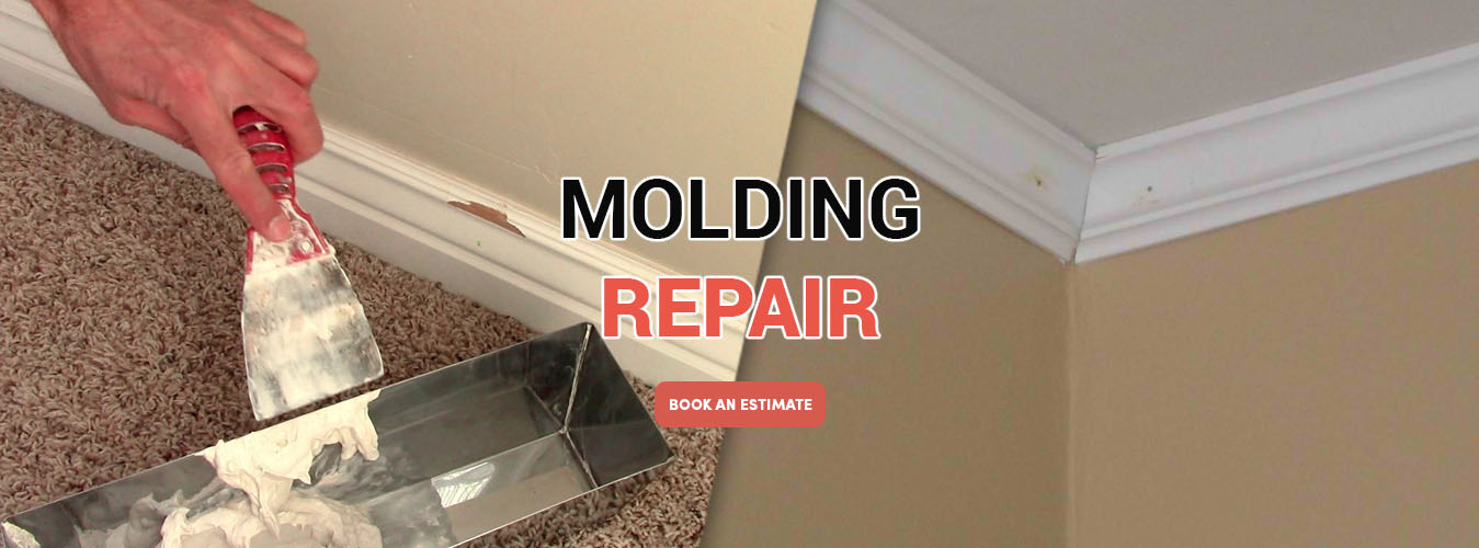 Renovation service bolo